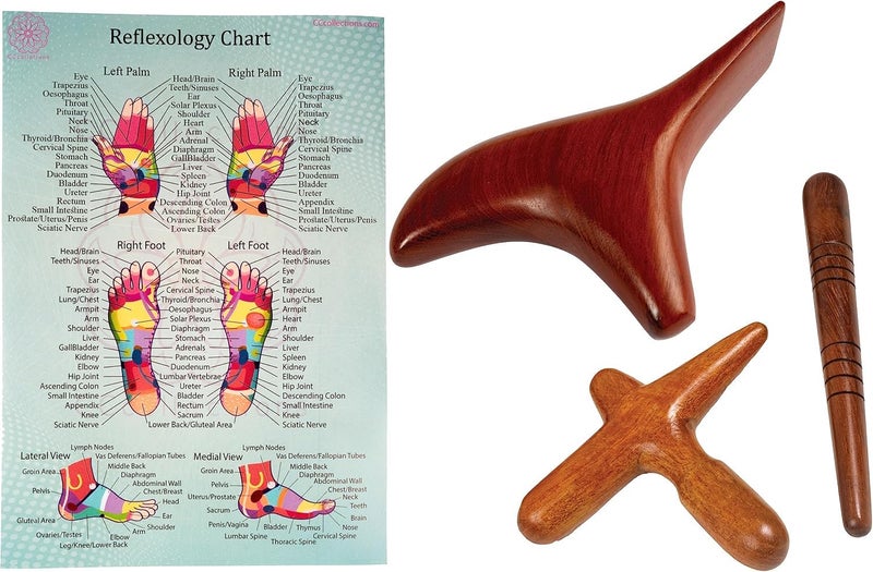 CCcollections Wood Therapy Massage Tools Reflexology Wooden Stick Tool Traditional Equipment for Relieving Muscle Pain Body Lymphatic Drainage Massager Set F Bird